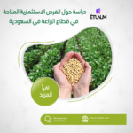 دراسة حول الفرص الاستثمارية المتاحة في قطاع الزراعة في السعودية